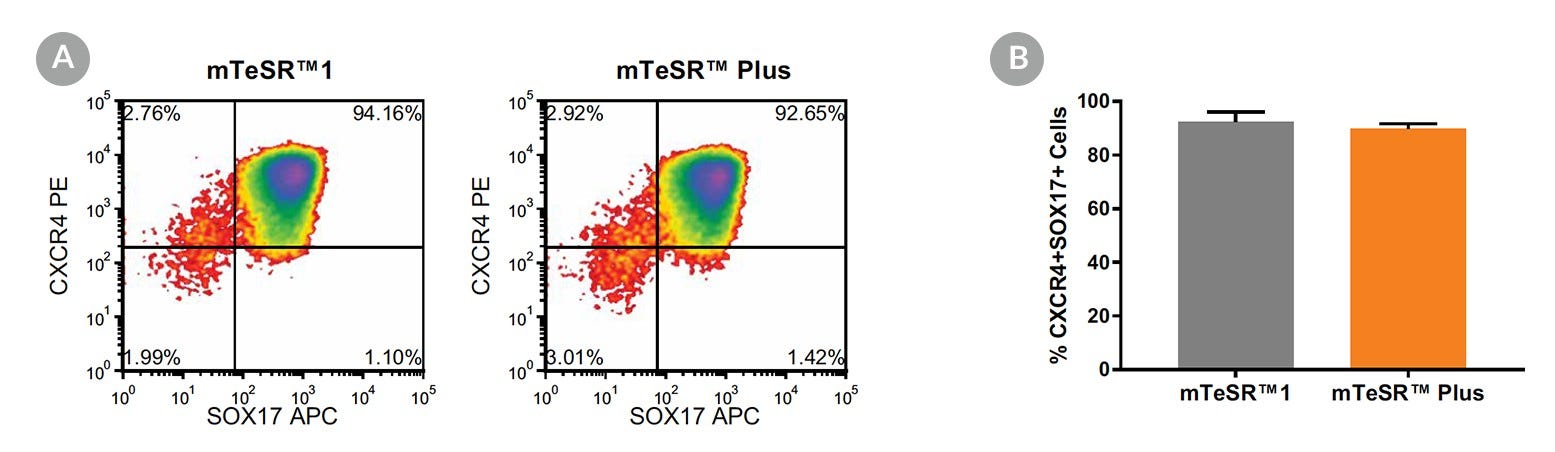Density plots and quantitative analysis showing CXCR4 and SOX17 expression in cells cultured in mTeSR™1 (daily feeds) or mTeSR™ Plus (restricted feeds), following 5 days of differentiation using the STEMdiff™ Definitive Endoderm Kit.