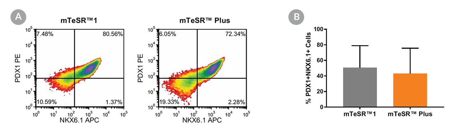Density plots and quantitative analysis showing PDX-1 and NKX6.1 expression in cells cultured in mTeSR™1 or mTeSR™ Plus, following 5 days of differentiation using the STEMdiff™ Pancreatic Progenitor Kit.