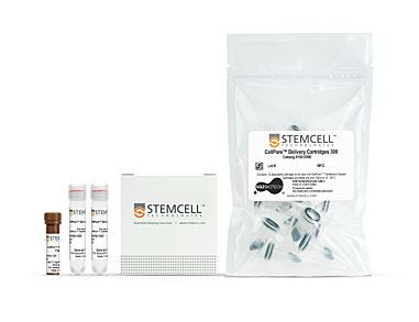 CellPore™ Transfection Kit 300 designed for transfection & intracellular delivery