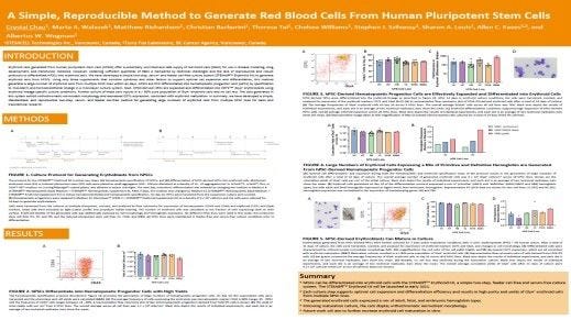 A Simple, Reproducible Method to Generate Red Blood Cells From Human Pluripotent Stem Cells