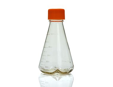 Corning® Disposable Erlenmeyer Flask