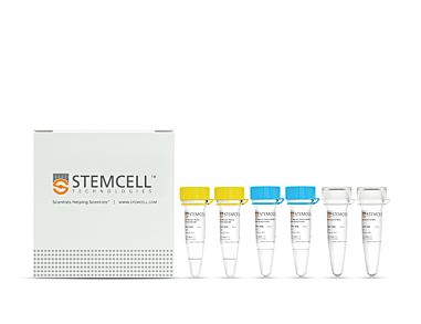 STEMscript™ cDNA Synthesis Kits|79004