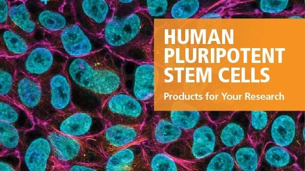 Products for Human Pluripotent Stem Cells