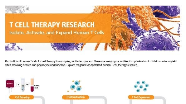 T Cell Reagents for Your Cellular Therapy Research
